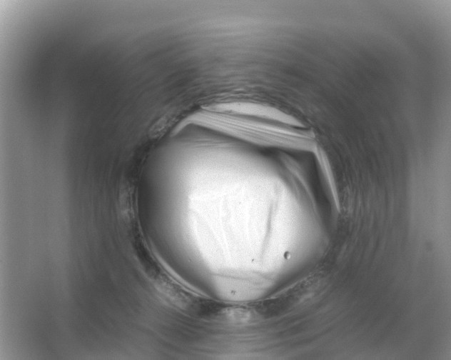 X0000066020272200603312057