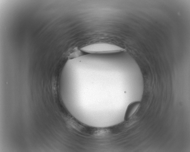 X0000066020274200603312057