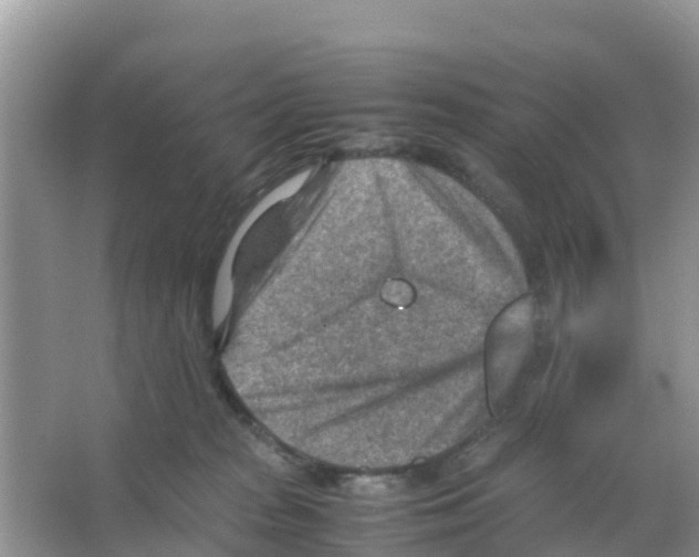 X0000066020277200603312057