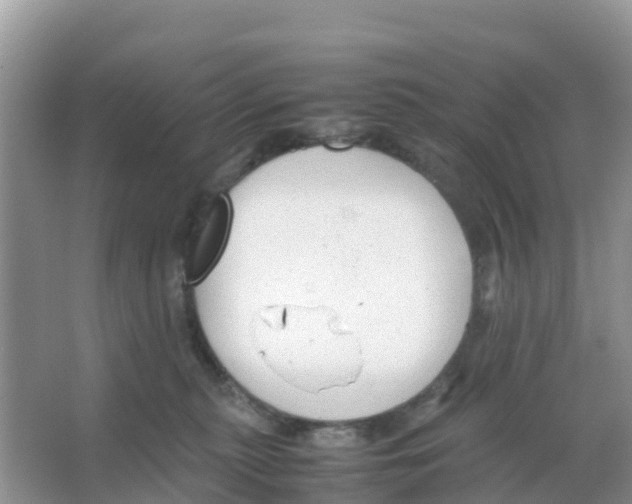 X0000066020279200603312057