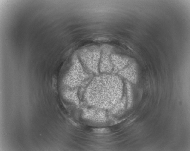 X0000066020281200603312057