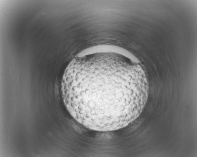 X0000066020282200603312057