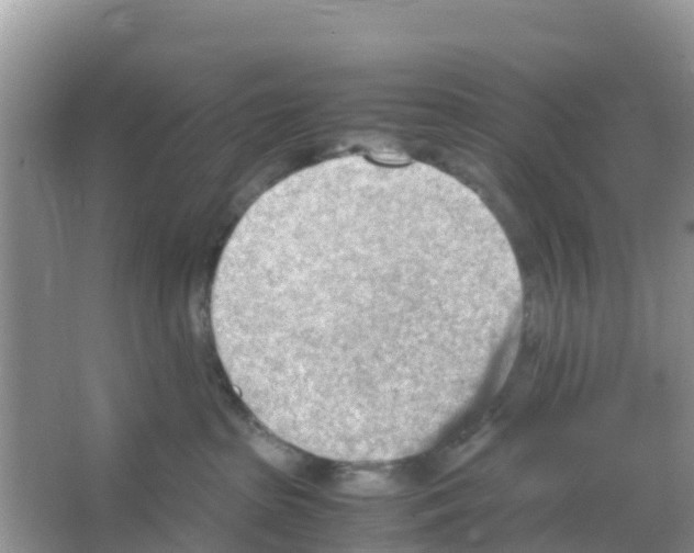 X0000066020285200603312057