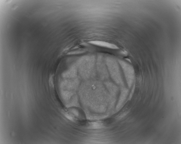 X0000066020286200603312057