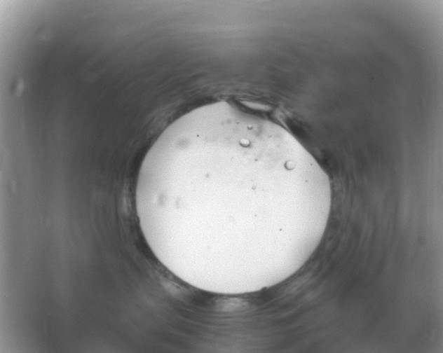 X0000066020287200603312057