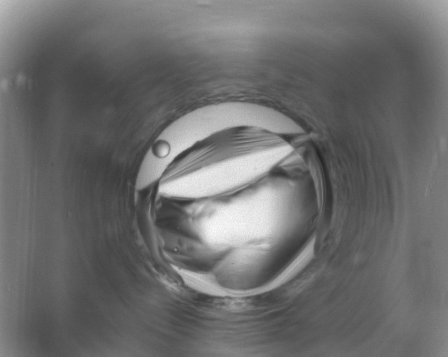 X0000066020288200603312057