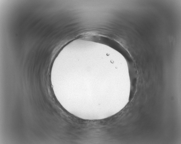 X0000066020289200603312056