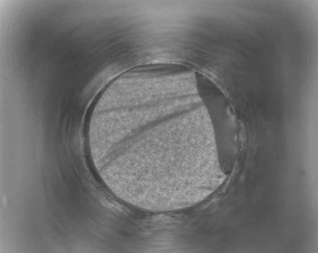 X0000066020290200603312056