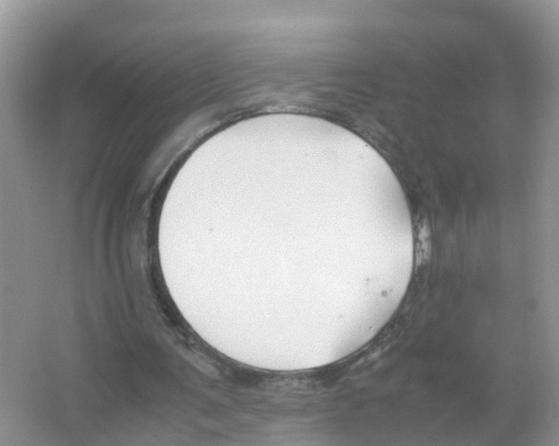 X0000066020291200603312056