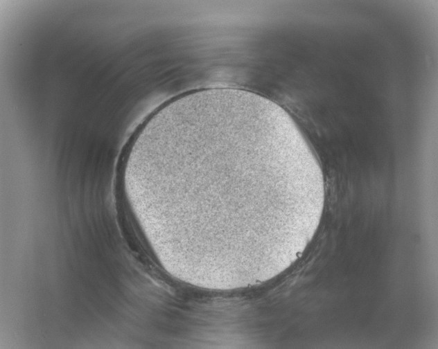 X0000066020292200603312056