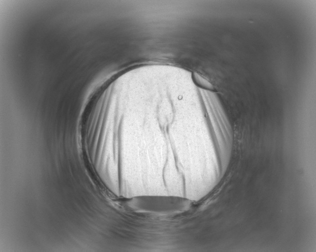 X0000066020294200603312056