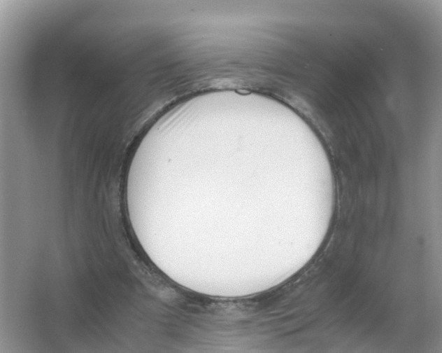 X0000066020297200603312056