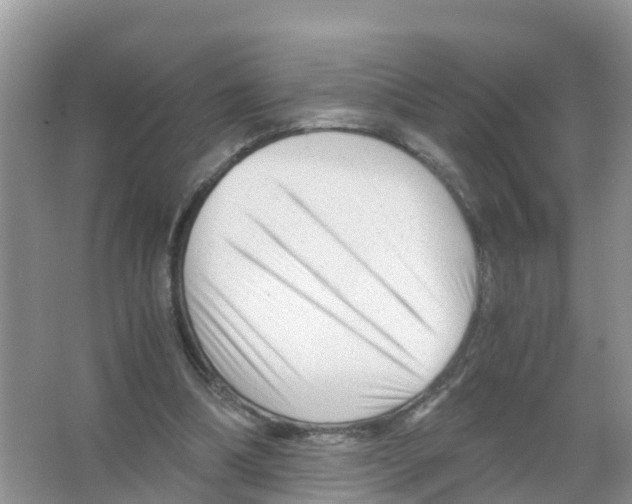 X0000066020298200603312056