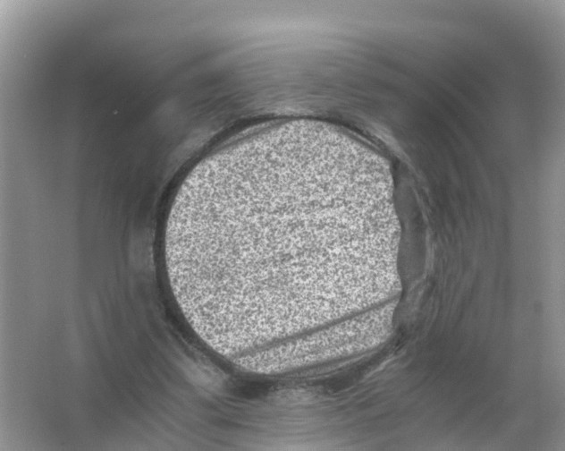 X0000066020299200603312056