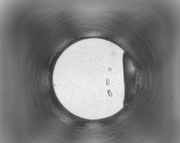 X0000066020300200603312056