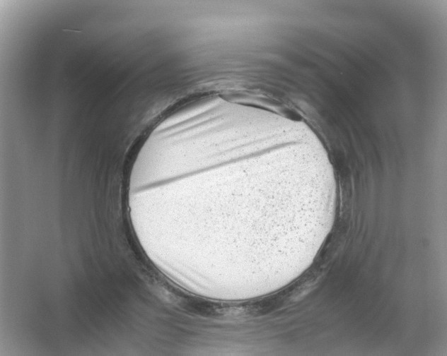 X0000066020301200603312056