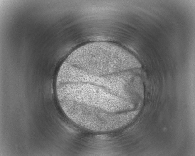 X0000066020302200603312056