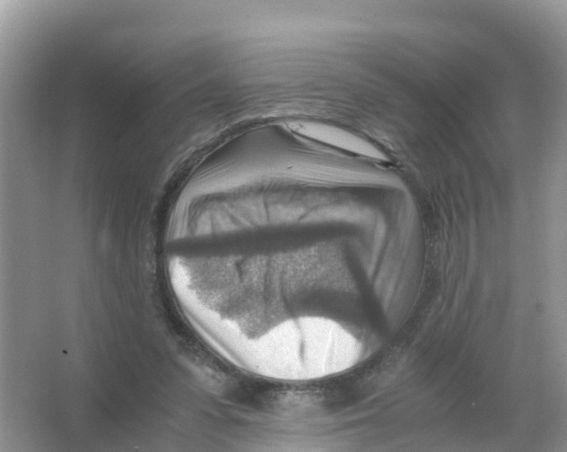 X0000066020303200603312056