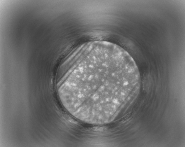 X0000066020314200603312056