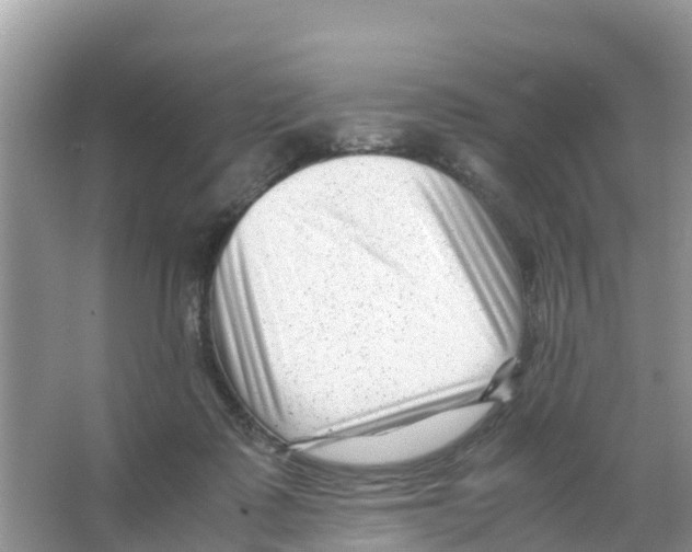 X0000066020315200603312056