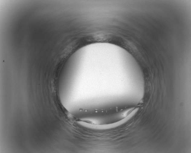 X0000066020317200603312056