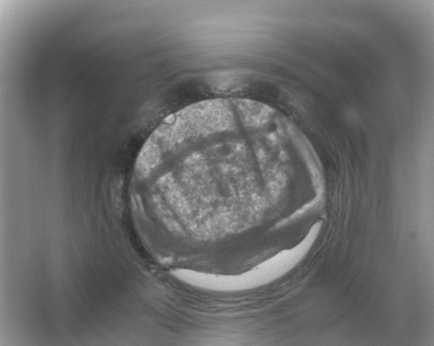 X0000066020319200603312056