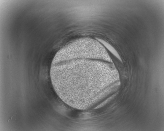 X0000066020323200603312055