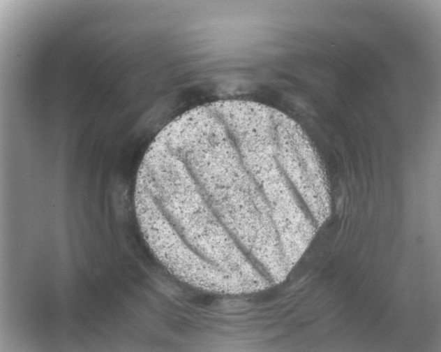 X0000066020327200603312055