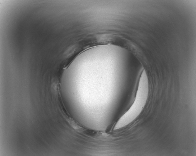 X0000066020329200603312055