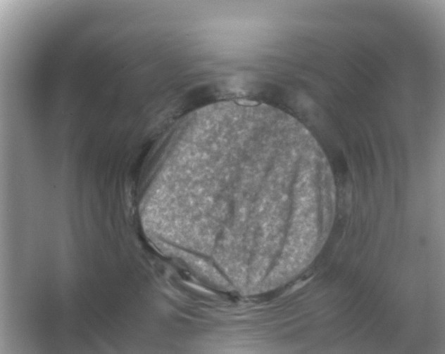 X0000066020331200603312055