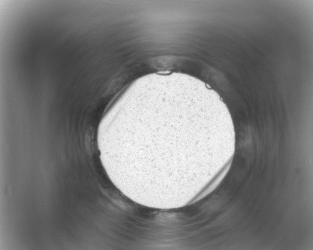 X0000066020332200603312055