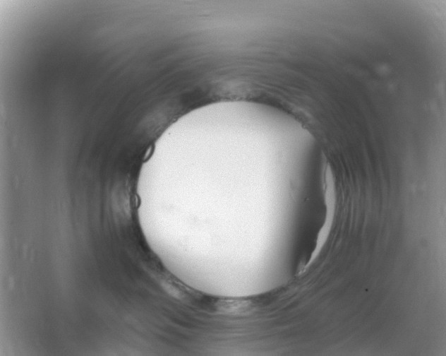 X0000066020334200603312055