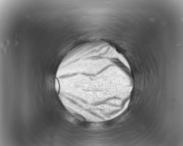 X0000066020335200603312055