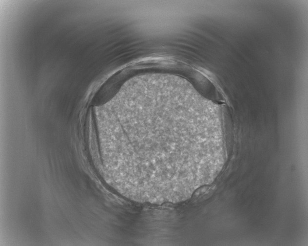 X0000066020337200603312054