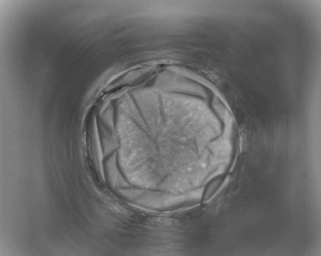 X0000066020339200603312054