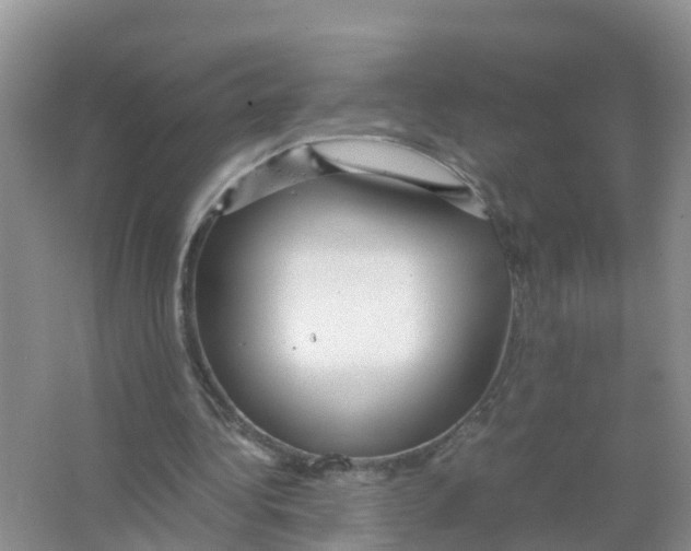 X0000066020340200603312054