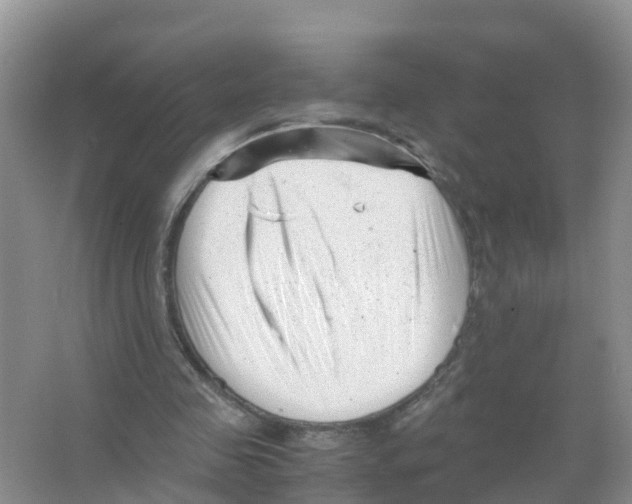 X0000066020341200603312055