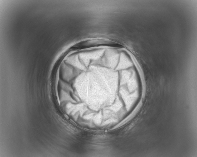 X0000066020342200603312055