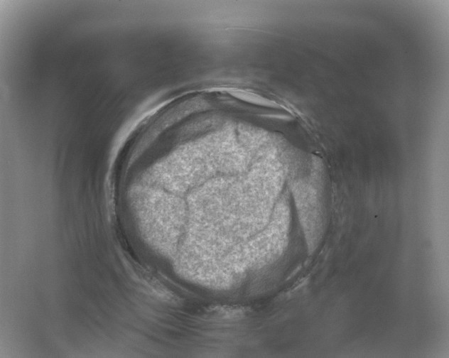 X0000066020343200603312055