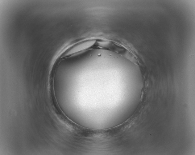 X0000066020344200603312055