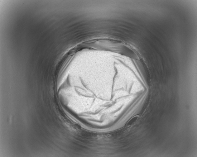 X0000066020345200603312055