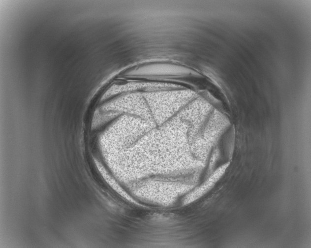 X0000066020346200603312055