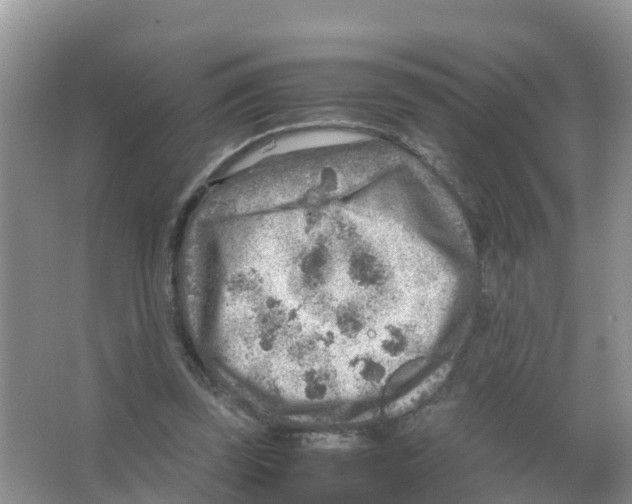 X0000066020347200603312055