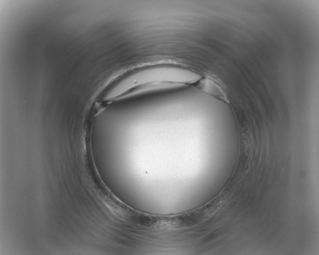 X0000066020350200603312055