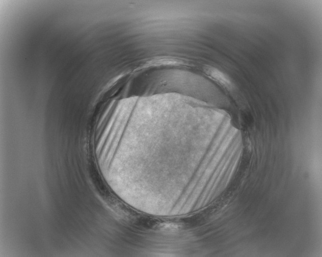 X0000066020352200603312055