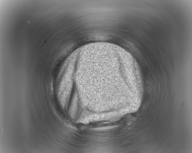 X0000066020358200603312055