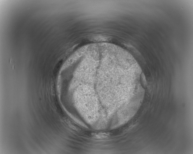 X0000066020359200603312055