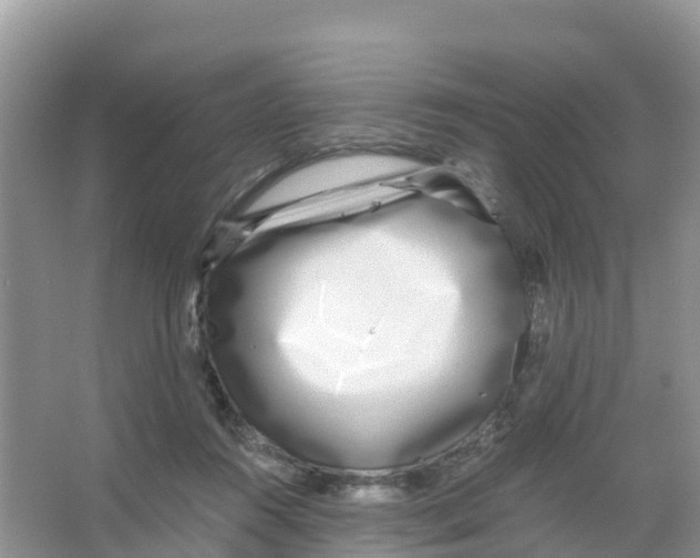 X0000066020360200603312055