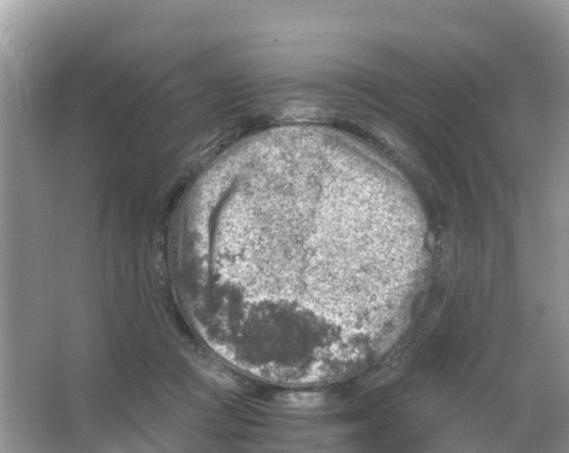 X0000066020361200603312055