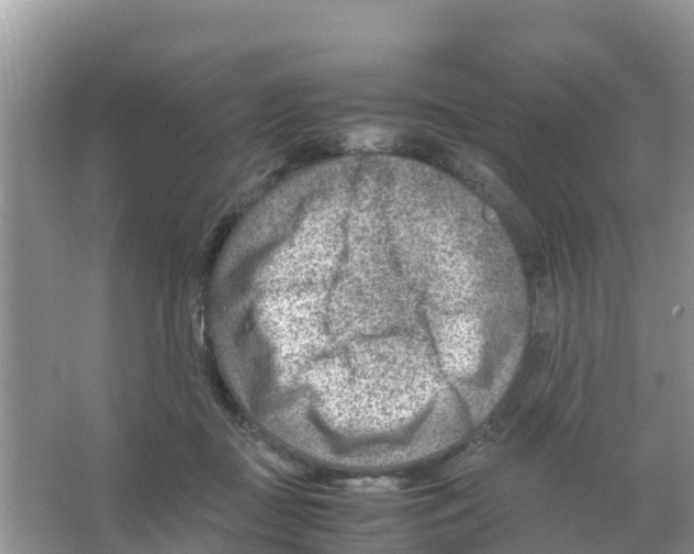 X0000066020363200603312055